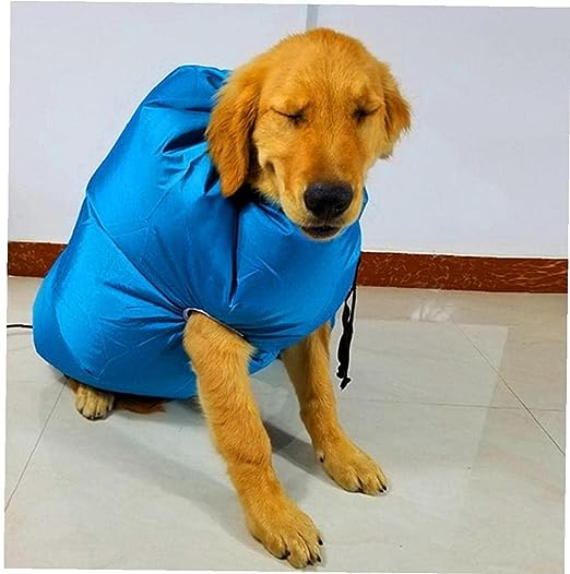 SECADOR DE PELO DE MASCOTA
